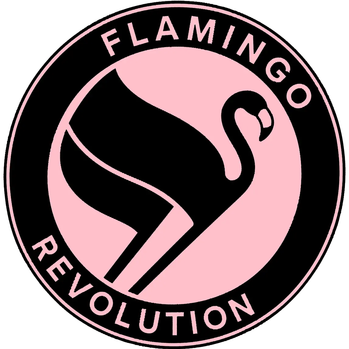 black flamingo revolution
